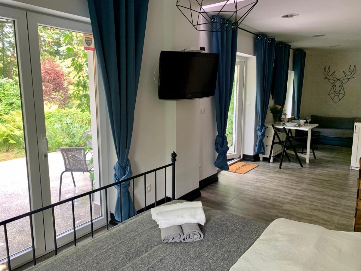 Apartament Zielona Prowincja Mysłakowice