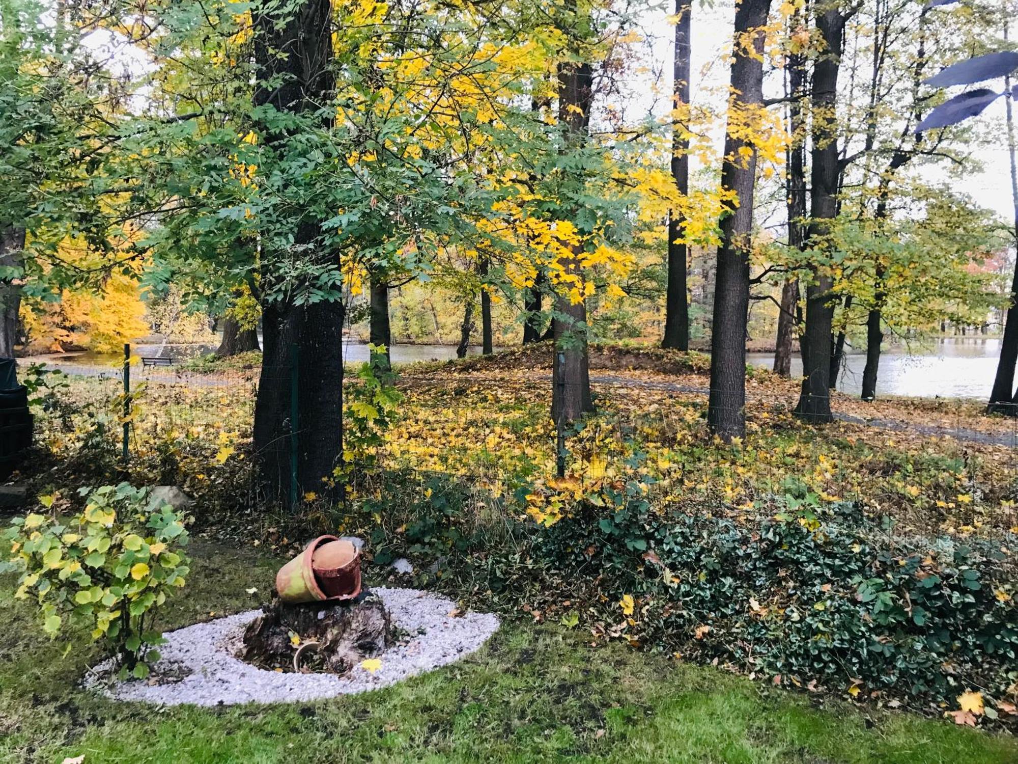 Zielona Prowincja Myslakowice